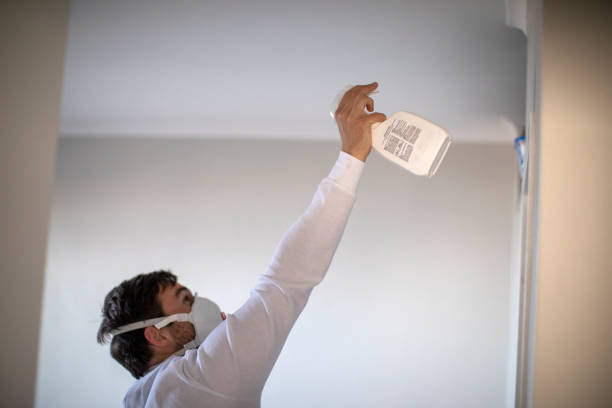 Washington Terrace, UT Mold Remediation Company