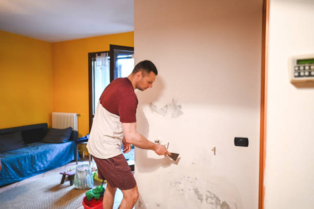 Best Crawl Space Mold Remediation in Washington Terrace, UT